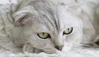 海丰伴游，定制QQ：3494206190微信：act1322